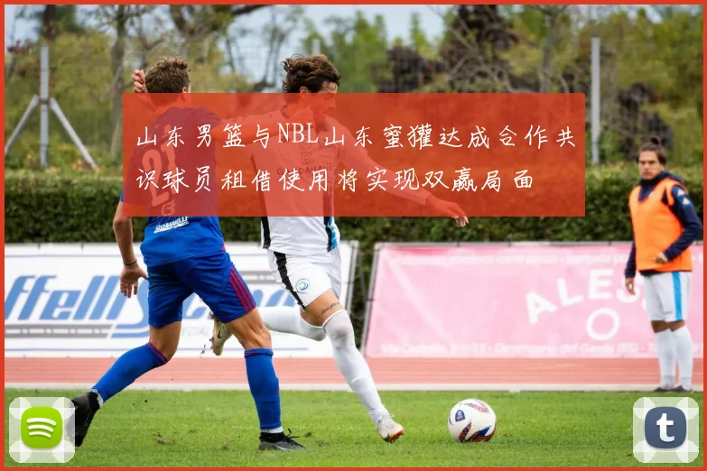 山东男篮与NBL山东蜜獾达成合作共识球员租借使用将实现双赢局面